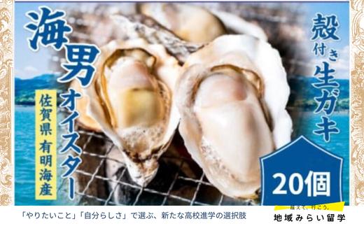 
            海男オイスター殻付き生ガキ20個（カキナイフ付・加熱用）
          