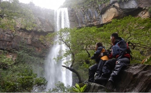 
西表島マングローブビーチクリーン＋滝とカヤック・トレッキング 1名様
