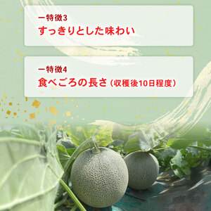 【2025年6月より発送開始】　先行予約 【贈答用】 タカミメロン5Lサイズ×各1玉（計2玉セット） メロン メロン メロン メロン メロン メロン メロン