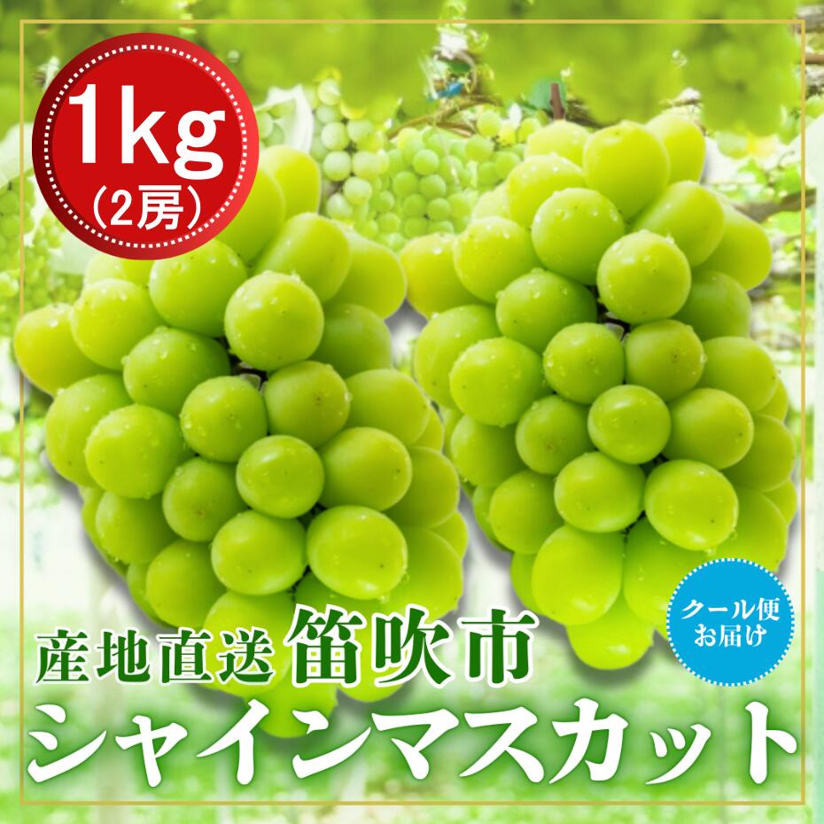 【ふるさと納税】【2026年発送★先行予約】笛吹市からクール便発送　シャインマスカット　1kg　2房 ふるさと納税 ぶどう シャインマスカット 笛吹市 国産 人気 期間限定 果物 フルーツ 旬 山梨県 送料無料 226-012
