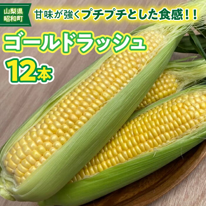 【ふるさと納税】【令和7年度発送先行予約】ふるさと納税 とうもろこし トウモロコシ ゴールドラッシュ 朝採り 甘い 産地直送 野菜 新鮮 旬 贈り物 お取り寄せ お土産 国産 ギフト 産地直送 人気 おすすめ 山梨県 昭和町 昭和町ブランドとうもろこし「GOLDラッシュ」 SWBN002