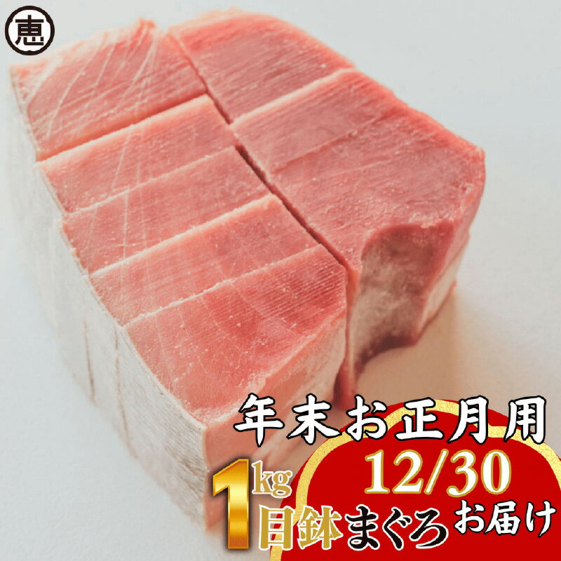 【ふるさと納税】 【年末・正月用/12月30日お届け】 天然 目鉢まぐろ お祝い満ぷくセット 中トロ赤身 1kgブロック 迎春 三崎まぐろ マグロ 鮪 メバチマグロ 刺身 魚 魚介 冷凍 おいしい 天然 三崎恵水産 神奈川県 三浦市 おすすめ ランキング プレゼント ギフト