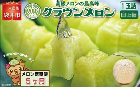 メロン 5ヶ月 定期便 クラウン 白上級 1玉入 果物 メロン