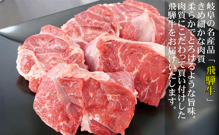 牛肉 飛騨牛 スネ肉 500g 黒毛和牛 A5 美味しい お肉 牛 肉 和牛 カレー シチュー 煮込み 【岐阜県瑞穂市】