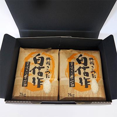 ふるさと納税 佐渡市 【令和7年産】佐渡高千産コシヒカリ　精米2kg×2袋　化粧箱入
