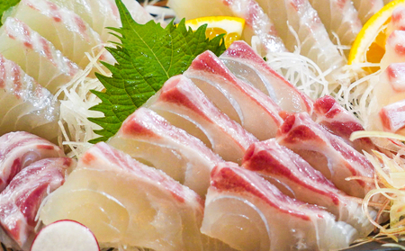 【真鯛】 刺身 柵 真鯛 600g 皮引き