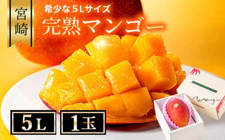 【先行予約/数量限定】完熟マンゴー５L×１玉 宮崎県産 濃厚 高級 果物 フルーツ 贈答 ギフト 完熟マンゴー マンゴー 送料無料【JA綾町】_A0114-2331