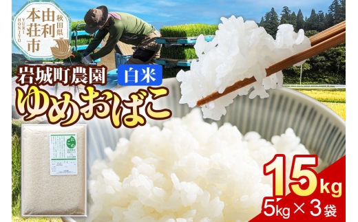 【白米】ゆめおばこ 秋田県産 岩城町農園のゆめおばこ 15kg（5kg×3袋）令和7年産 真空パック [ゆめおばこ 米 お米 こめ 白米 精米 食卓 ご飯 ごはん おにぎり 秋田県 由利本荘市]