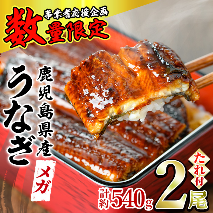 【0174318a】＜数量限定＞＜メガサイズ＞「養鰻業者応援」うなぎ蒲焼き(無頭)(2尾・計約540g・タレ,山椒付) うなぎ 高級 ウナギ 鰻 国産 蒲焼 蒲焼き たれ 鹿児島 ふるさと 人気【アクアおおすみ】