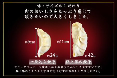 極上等級獲得の豚肉で作った拘りの肉餃子　40個　餃子