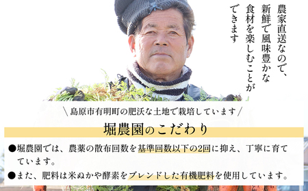 BH052 人参 訳あり 堀農園のこだわり人参 約10kg [ 贅沢宝庫 長崎県 島原市 ]