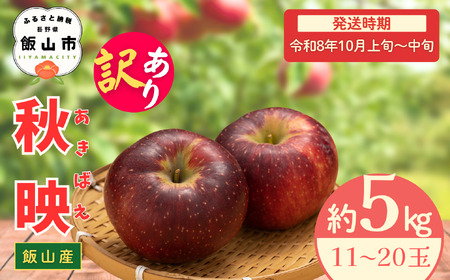 【先行予約丨2026年10月上旬より順次発送】訳あり 秋映【約5kg (11?20玉)】(At-018)丨長野県 飯山市 おすすめ ランキング おいしい 高評価 大人気 先取り 産地直送 りんご 訳あり 規格外 