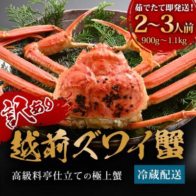ふるさと納税 福井市 【11月〜12月に発送】蟹料理店の訳あり茹で越前がにズワイガニ 大1杯900g〜1.1kg足折