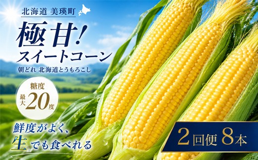 【令和9年産先行予約】とうもろこし（ほしつぶコーン）8本 定期便 2回 <令和9年産 >黒木農場 |  北海道とうもろこし スイートコーン イエローコーン 糖度 甘い  朝どれ 朝採れ とうきび 新鮮 旬 野菜 夏野菜 美瑛産 北海道 とうもろこし北海道 令和9年8月発送  [018-76]