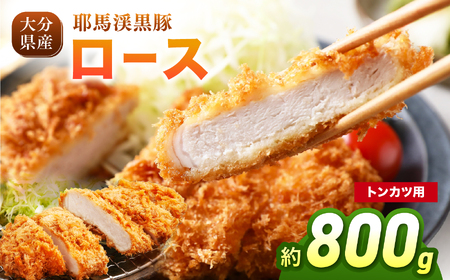 耶馬渓黒豚 ロース トンカツ用 800g（100g×2枚入り×4パック）| トンカツ とんかつ 選べる内容量 送料無料 大分県 中津市