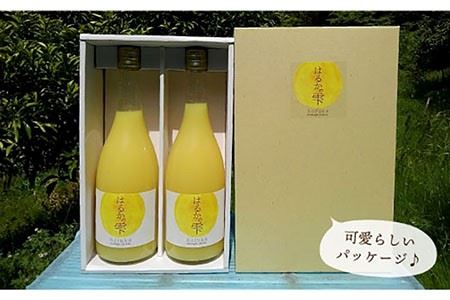 【ギフト可】【糖度15度前後】はるかの雫（720ml×2本）長与町/岩永農園 [EAZ001]