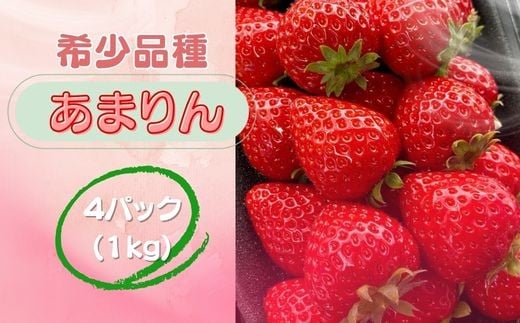 ※先行受付【新品種】埼玉オリジナル いちご あまりん 4パック ストロベリーハント