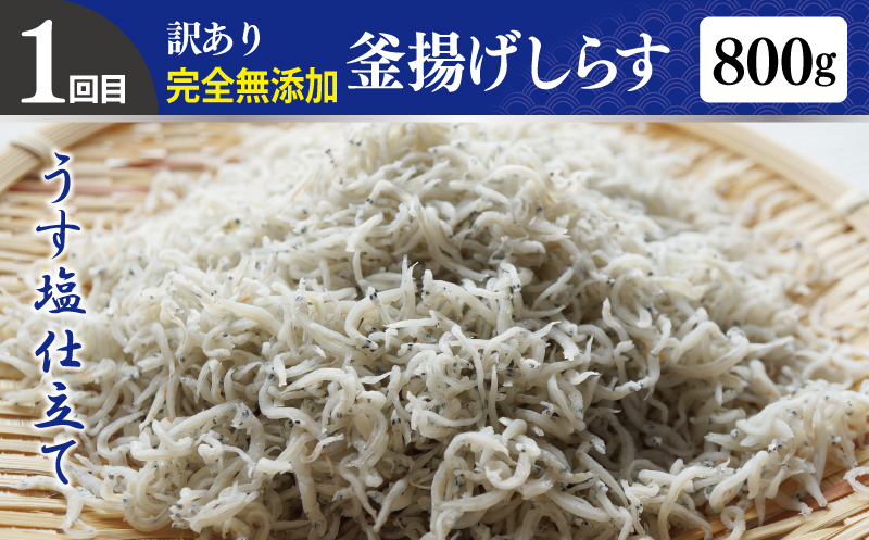 店主セレクト 食べ比べ 定期便 全4回（ハンバーグ／しらす／スンドゥブチゲ／サムギョプサル）【毎月配送コース】 G1243_イメージ2