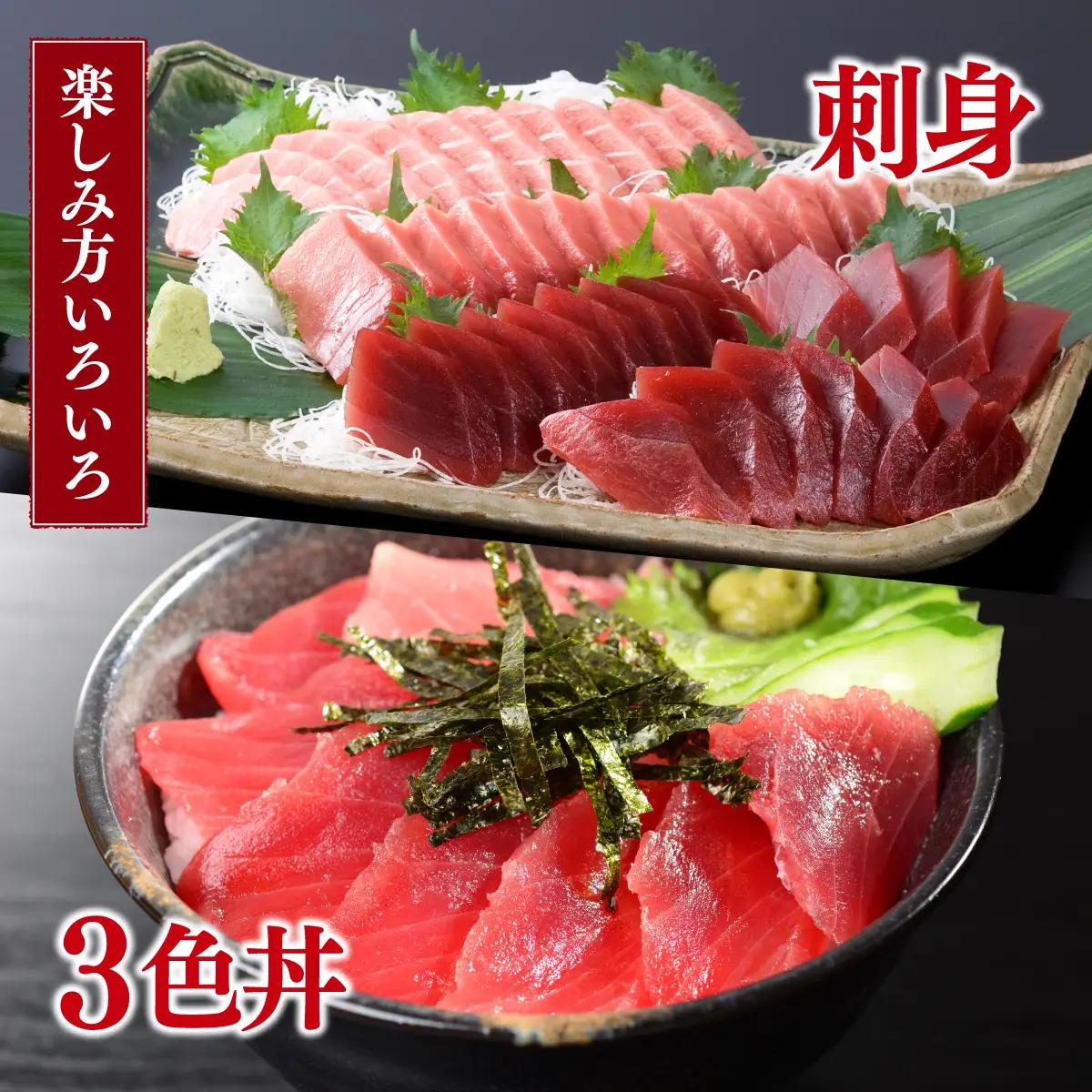 北海道産本マグロ（大トロ・中トロ・赤身）訳ありセット 2kg【ogm-026】