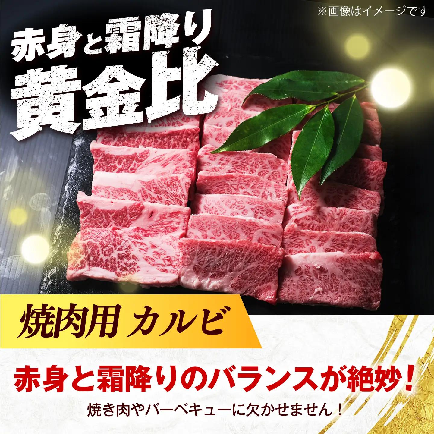 博多和牛 焼肉 牛肉 バラ カルビ 500g 牛肉 [ABEZ073]