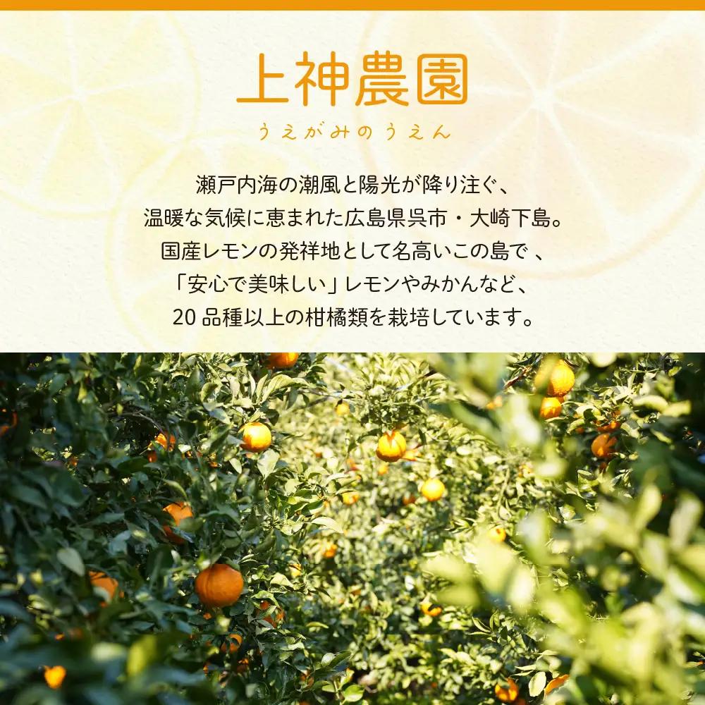 【先行受付】【2026年11月～発送】ジュース用 レモン 約2.5kg