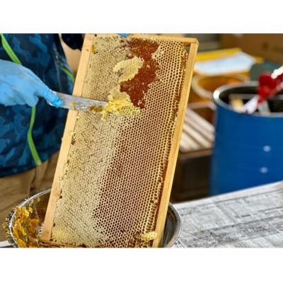ふるさと納税 糸満市 【非加熱・無添加】糸満産 生はちみつ(110g×2個セット) |  | 01