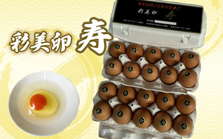 彩美卵　寿　20個 No.423