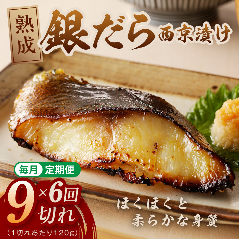 【定期便】銀鱈 西京漬け 120g×9切れ 全6回【厚切り 小分け 熟成 銀だら ぎんだら ギンダラ 海産物 魚 惣菜 西京焼き 味噌 お酒のあて 訳あり サイズ不揃い 切り落とし】 G5639