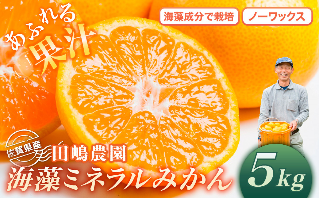 
                  海藻ミネラルみかん 5kg　みかん ミカン 蜜柑 たらみかん 太良みかん 温州みかん 完熟みかん 甘熟 柑橘 国産 こだわり 有機栽培 産地直送 贈答品 詰め合わせ 極甘 佐賀県産 太良町 L22x1 【2026年10月下旬～2027年1月上旬迄発送予定】
                