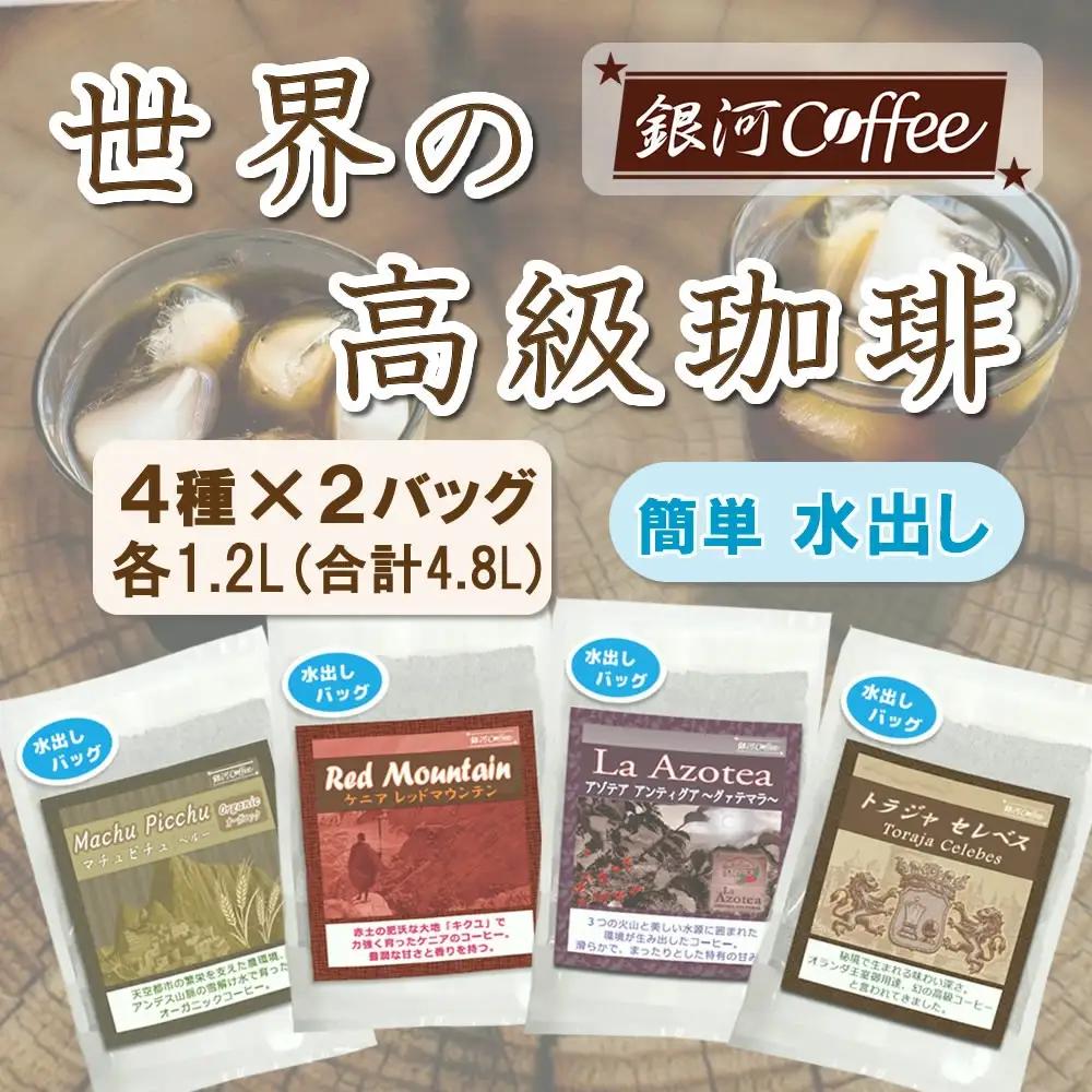 【12203-0126】水出し珈琲セット（お手軽版） 世界の高級コーヒー80g×4種 銀河コーヒー ふるさと納税 市川市 返礼品