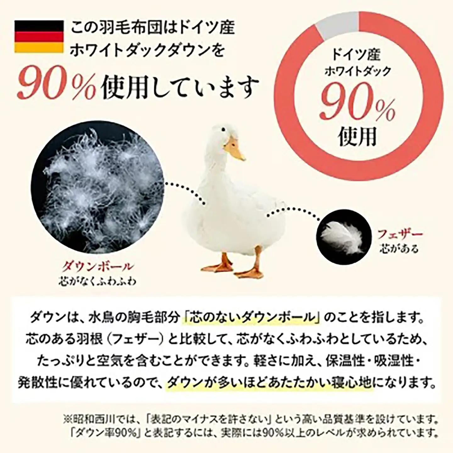 昭和西川 ムアツ まくら MP2100 ＋ CMD 羽毛ふとん セット シングル ロング  ( ブルー ) ドイツ産 ダック 90％