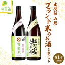 【ふるさと納税】 出羽桜 山形ブランド米 のお酒 2本セット 各 720ml 日本酒 地酒 純米 大吟醸 酒 雪若丸 純米 吟醸 酒 つや姫 IWC 金賞 受賞 晩酌 ご家庭用 のし 贈答 お中元 お歳暮 御祝 飲み比べ お取り寄せ 送料無料 【 山形県 天童市 】