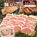 豚ロースとんかつ・ソテー用20枚 - 豚肉 豚ロース とんかつ・ソテーに 100g×5枚入り×4パック 計20枚 豚 真空パック 冷凍保存 送料無料 AA-2506【宮崎県都城市は令和4年度ふるさと納税日本一！】