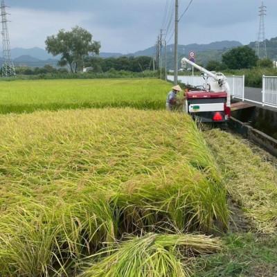 ふるさと納税 静岡市 【令和7年産・精米】静岡県産こしひかり2kg/栽培期間中農薬不使用 |  | 01