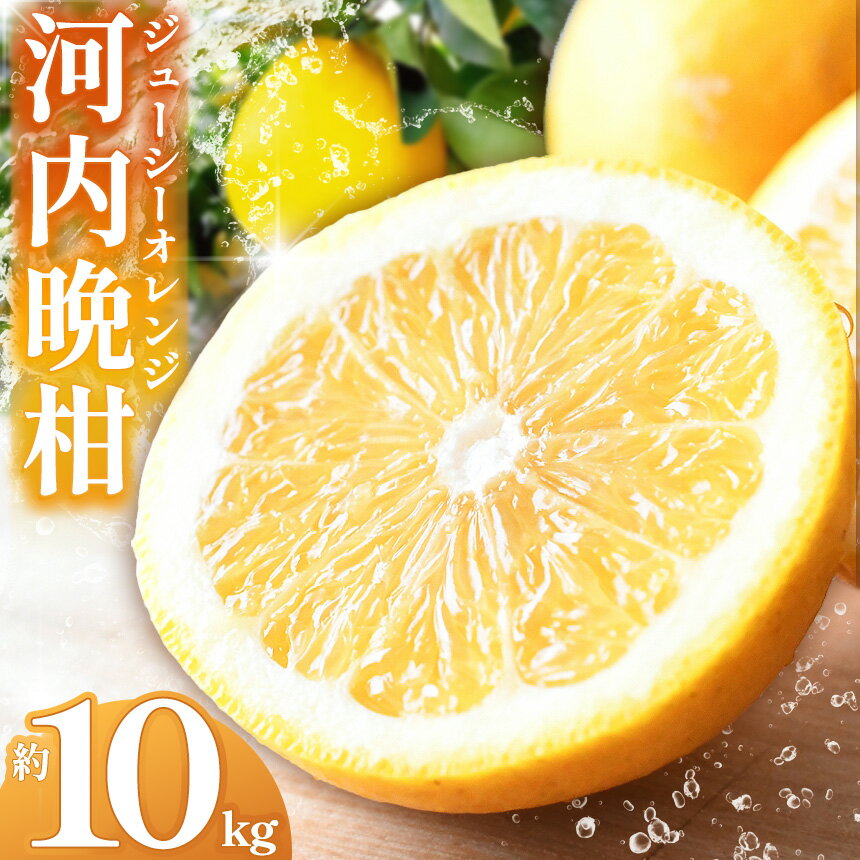 【ふるさと納税】 河内晩柑（ジューシーオレンジ）約10kg | 晩柑 オレンジ おれんじ ジューシー 夏 和製グレープフルーツ グレープフルーツ 果物 熊本県 玉名市