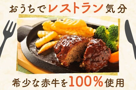 赤牛 ハンバーグ 150g×10個 あか牛100％ ハンバーグ 150g 10個 国産牛 和牛 牛 あか牛 ハンバーグステーキ セット 個包装 牛100％ 冷凍 ギフト 阿蘇牧場 熊本 阿蘇 南小国町