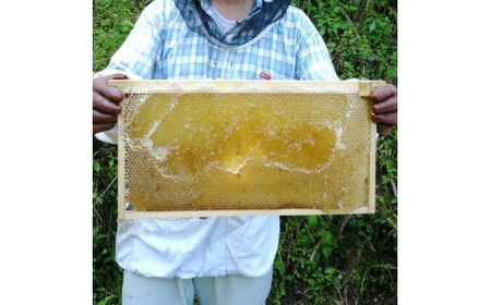 【百花蜜】天然 はちみつ 高原の恵み「山の蜜」500g ｜ 国産 蜂蜜 愛媛県 久万高原町 純粋 100% 非加熱 無調整 採れたて 高糖度 ハニー 朝食 トースト ヨーグルト 健康食 栄養豊富 手土