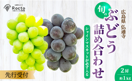 【先行受付】厳選！旬のぶどう詰め合わせ約1kg（2房） 2025年9月上旬から順次発送 種なし シャインマスカット 品種 農園おまかせ ピオーネ BKシードレス 安芸クイーン クイーンニーナ スカーレット お楽しみ 人気 葡萄 贈答 お中元 プレゼント 厳選 フルーツ 205001