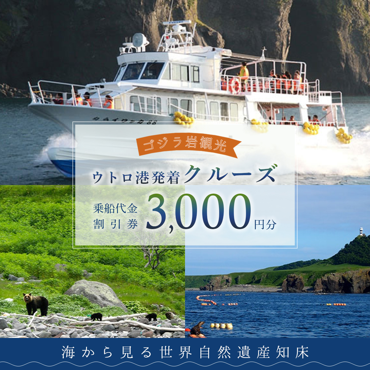 ゴジラ岩観光【ウトロ港発着クルーズ乗船代金3000円割引券】 SHAD001