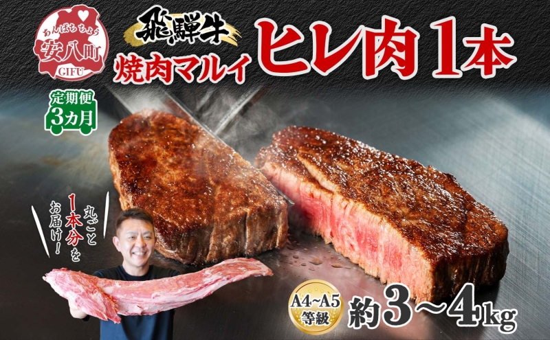 飛騨牛 ヒレ肉 ブロック A4～A5等級 1本3ヵ月定期便約3～4kg  3割×3 ヒレ シャトーブリアン 肉 牛肉 ブランド牛 お肉 和牛 贅沢 お取り寄せ ご褒美 ステーキ 豪華 グルメ 焼肉 BBQ パーティー ギフト 贈り物 自家用 贈答用 焼肉マルイ 岐阜県 【 安八町 】