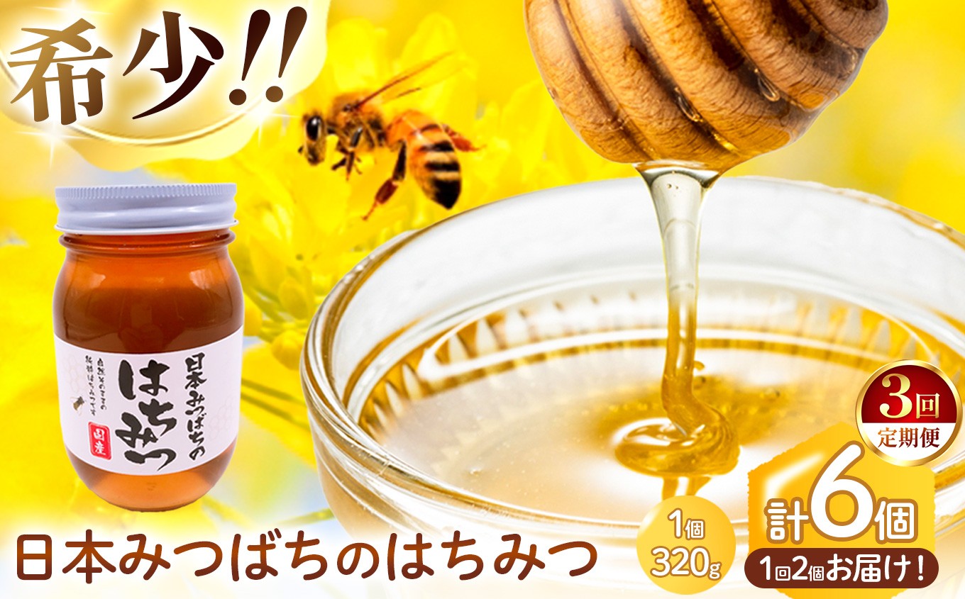 
            【 定期便 3回 】和水町産 日本蜜蜂のはちみつ｢希少品｣ 320g×2個 | 熊本県 熊本 くまもと 和水町 なごみまち なごみ ハチミツ ハチミツ 蜂蜜 日本蜜蜂 国産 320g×2個 瓶
          