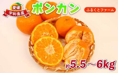 ポンカン 約5.5kg ～ 6kg ふるくとファーム かなこちゃん 先行予約 ポンカン B015-037010