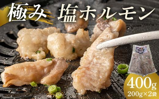極み塩ホルモン 400g(200g×2袋) EB8-0322