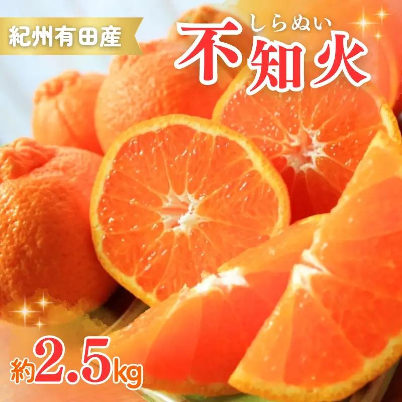 【先行予約】紀州有田産不知火(しらぬひ) 2.5kg ※2027年2月中旬頃〜2027年3月中旬頃に順次発送予定（お届け日指定不可）/ みかん 不知火 和歌山 フルーツ 有田【uot794A】