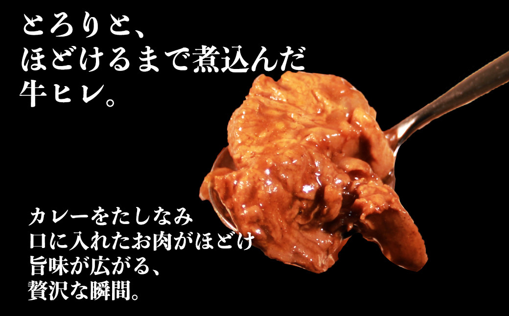 【訳あり】具だくさん やわらか牛ヒレひもカレー 250g×6パック 計1.5kg