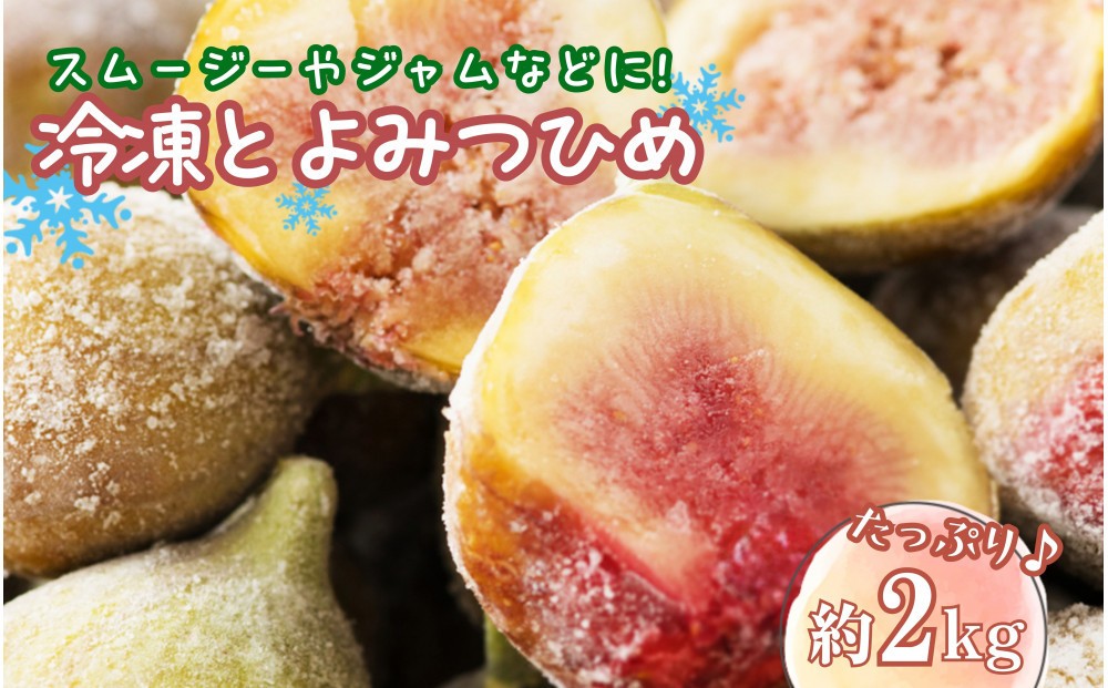 
                  冷凍いちじく（とよみつひめ）約２kg
                