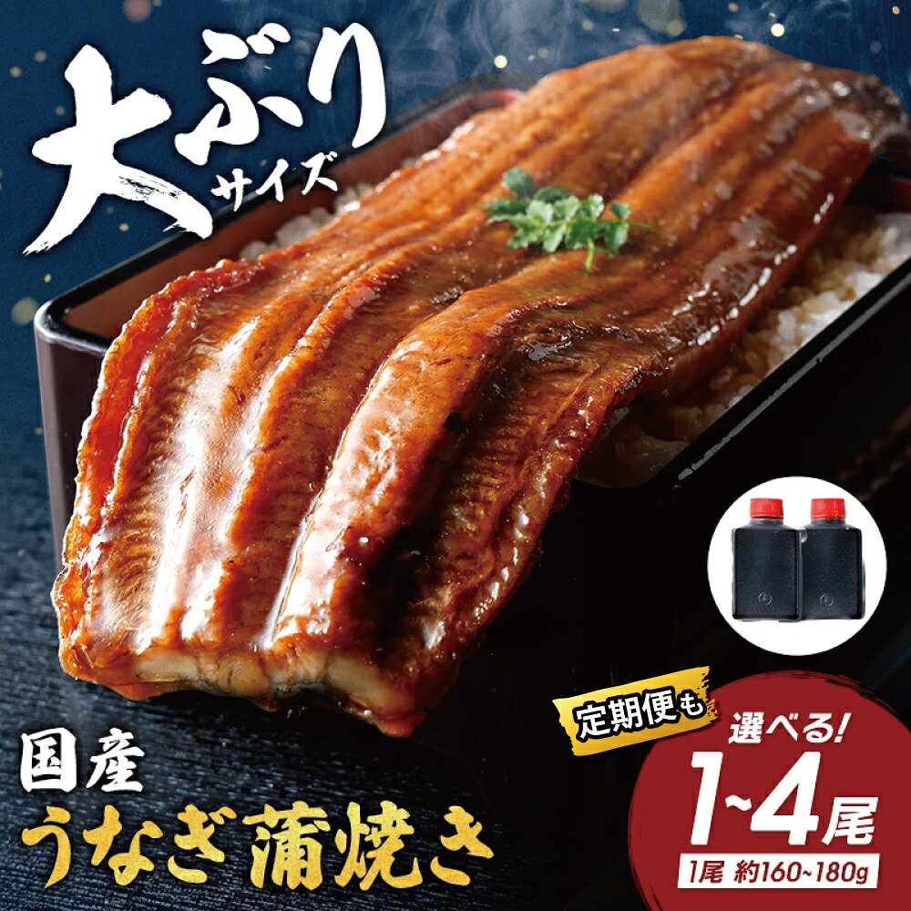 【ふるさと納税】うなぎ蒲焼き たれ付き 1尾 / 2尾 / 4尾 定期便 選べる （1尾×約160g〜180g） 国産 うなぎ 近江佃煮庵 遠久邑 鰻 ウナギ 冷凍