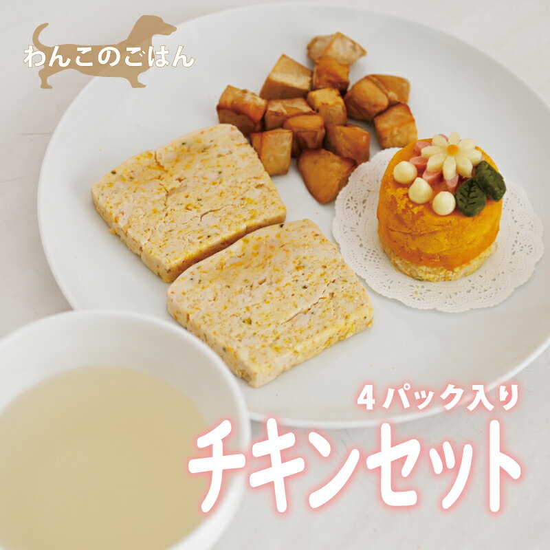 【ふるさと納税】わんこのごはん（チキンセット）4パック入り 国産 無添加 ペットフード ドッグフード 愛犬 ごはん 手づくり 京都 丹波 京丹波町 ※北海道・沖縄・その他離島は配送不可