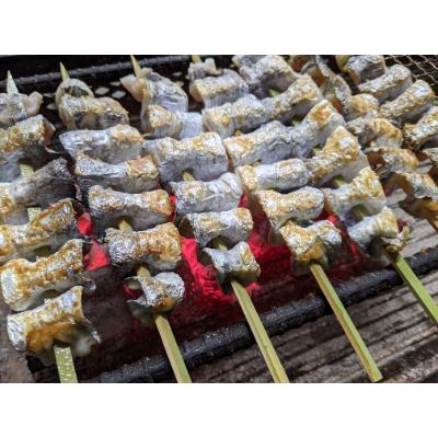 ふるさと納税 津奈木町 【炭火焼】太刀魚串【骨取り】5本セット