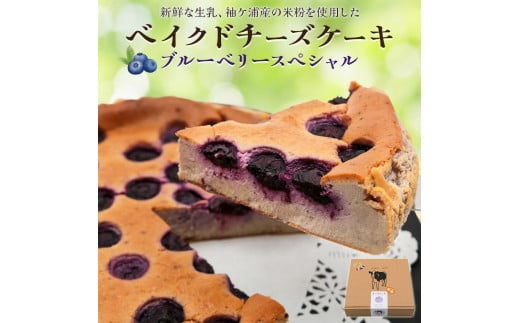 贅沢トッピングのベイクドチーズケーキ 奥野牧場 ブルーベリースペシャル ホール (大)｜米粉 グルテンフリー チーズ ケーキ スイーツ フルーツ ミルク 牧場 ギフト お祝い 袖ケ浦 [0230ch]